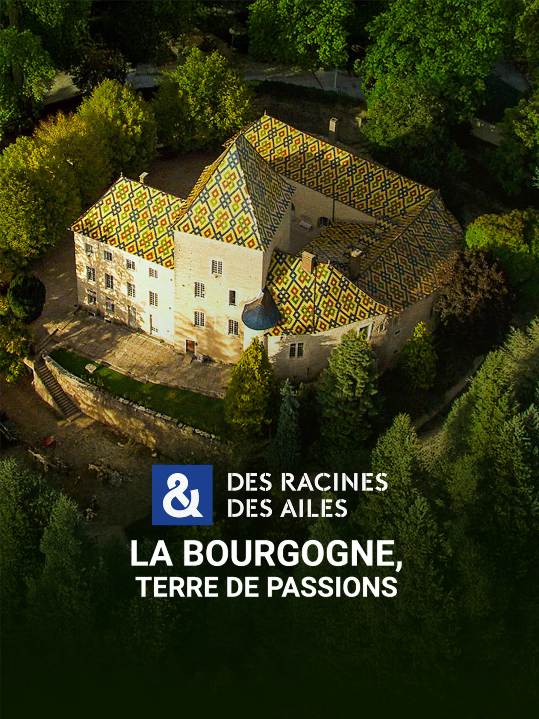 Visuel du reportage Des racines & des ailes